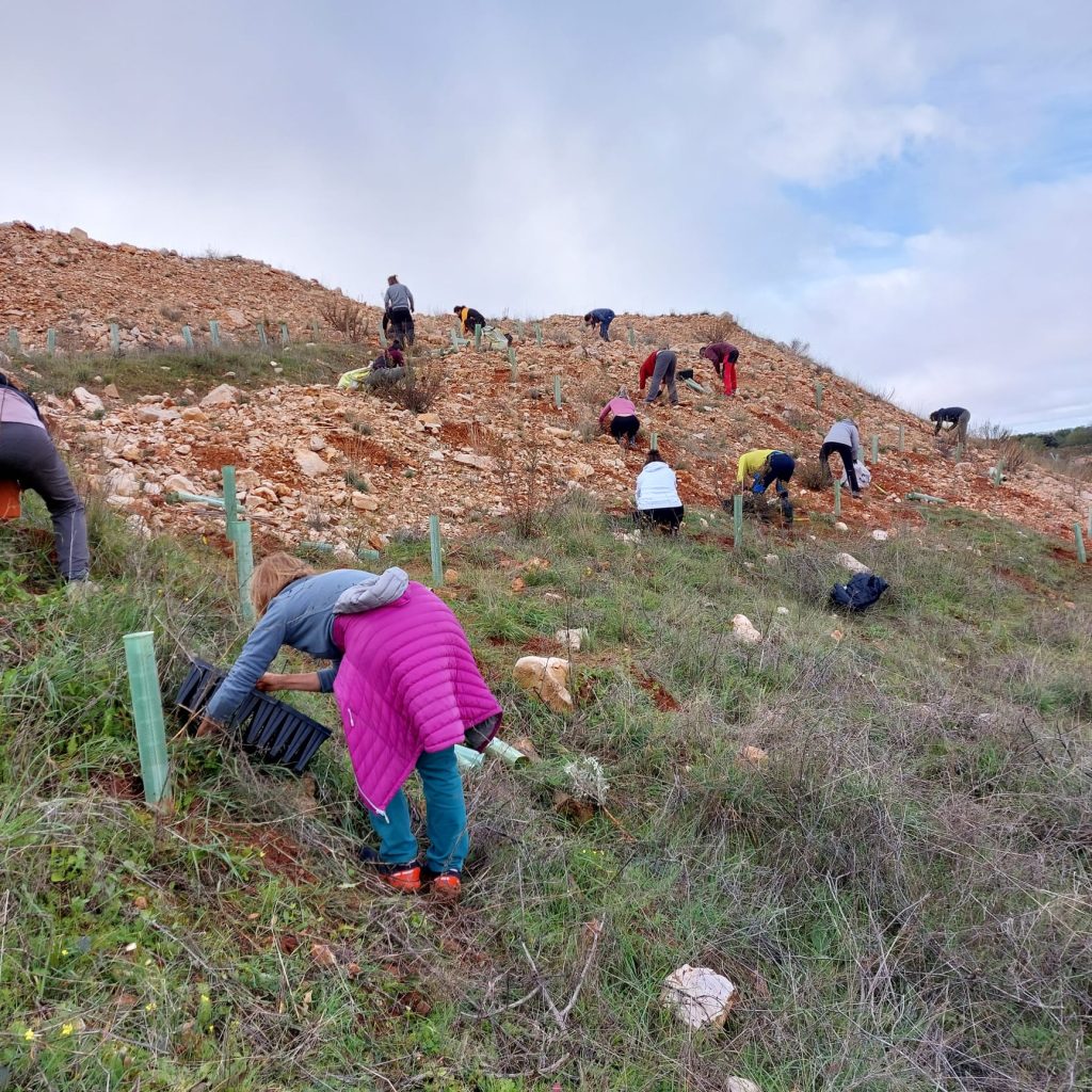 Voluntarios y voluntarias en una de las jornadas de plantación