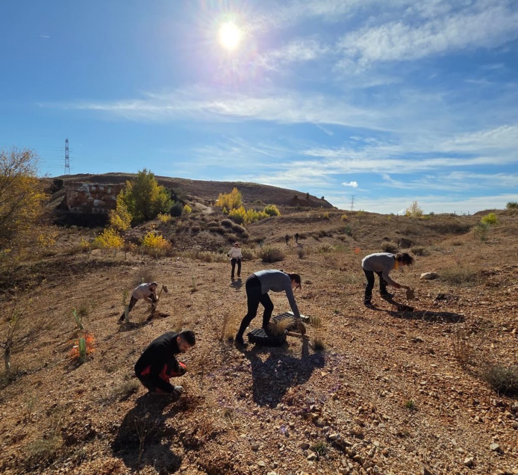 Voluntarias y voluntarios plantando en La Chanta