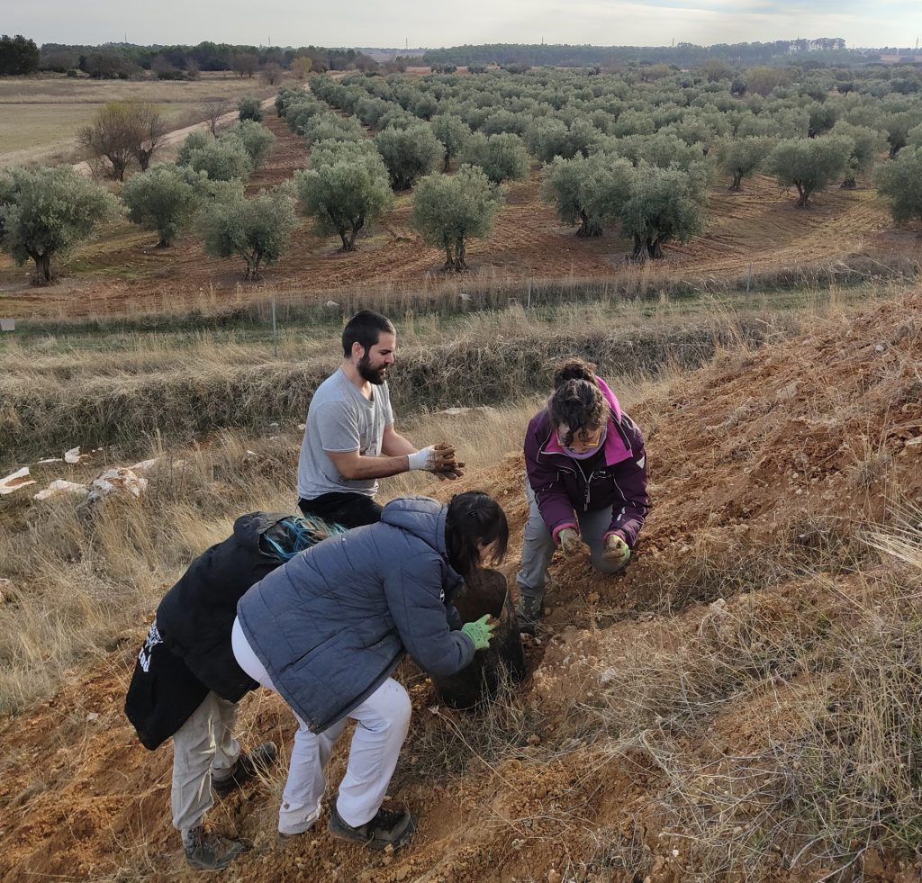 Siembra con bombas de semilla