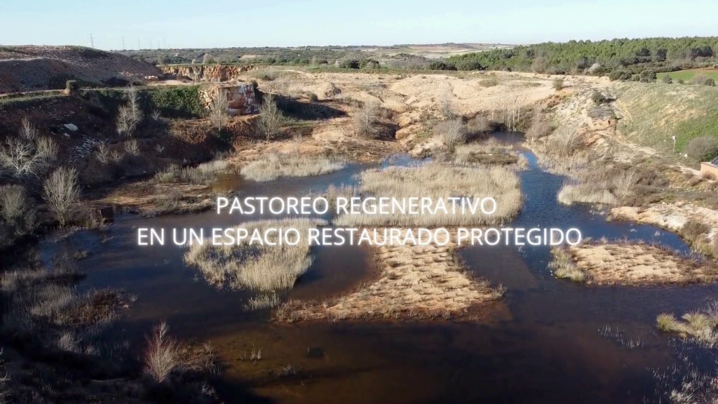 Pastoreo regenerativo en un espacio restaurado protegido