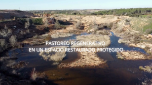 Pastoreo regenerativo en un espacio restaurado protegido