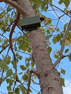 Las grabadoras de Wildlife Acoustics colocadas en La Chanta recogen durante todo el año el paisaje sonoro de la misma.