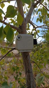 Durante la semana del eclipse, una grabadora Audiomoth se colocó para participar en el proyecto ECOECLIPSE con los sonidos de La Chanta.