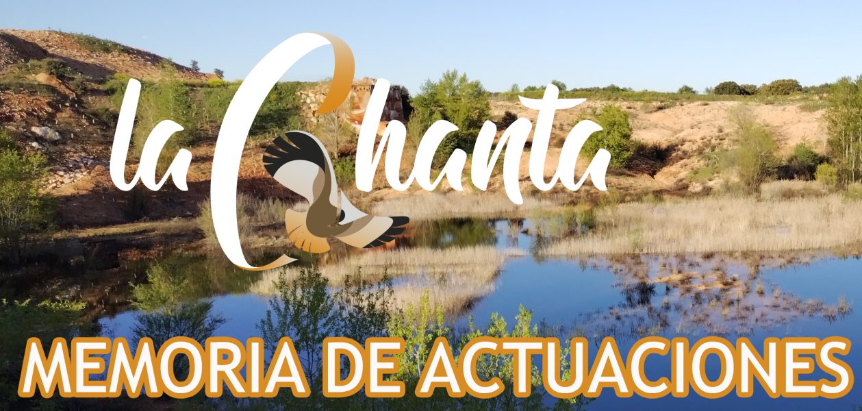 MEMORIA DE ACTUACIONES